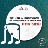 For You (feat. Skye Wanda & The Bless) [Vocal Mix] artwork