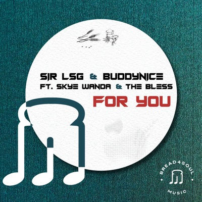 For You (feat. Skye Wanda & The Bless) [Vocal Mix] cover art