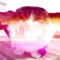 Synthwawa 2 - Single - Mekbok