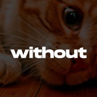 Without (Melodic Drill Type Beat) - Single - Drilland