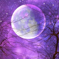 Leave Me Alone - Single - Sadboi Dee