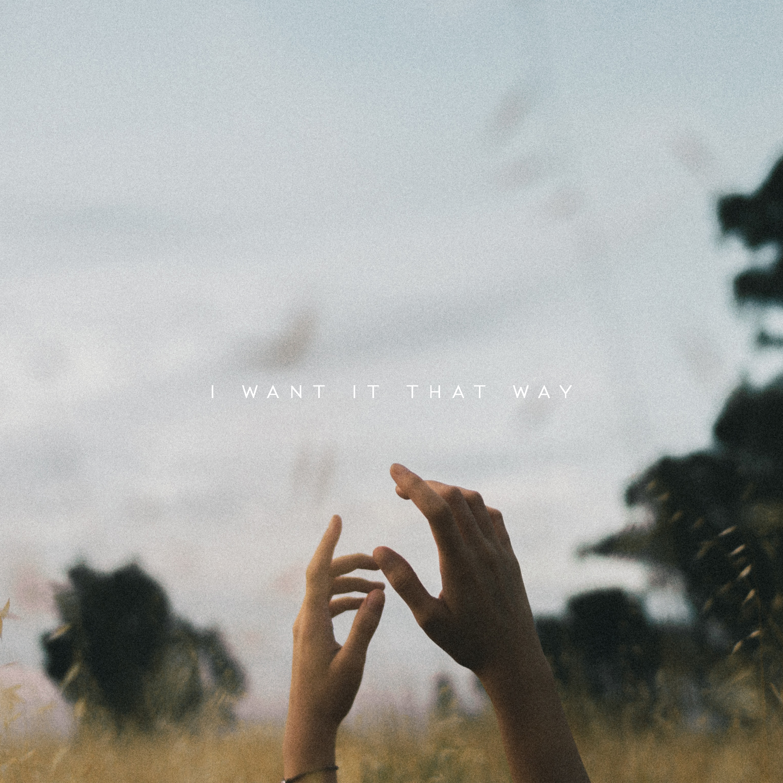 I Want It That Way - Single
