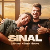 Sinal (feat. João Gomes) artwork