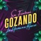 Gozando artwork