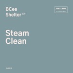 Steam Clean - Single