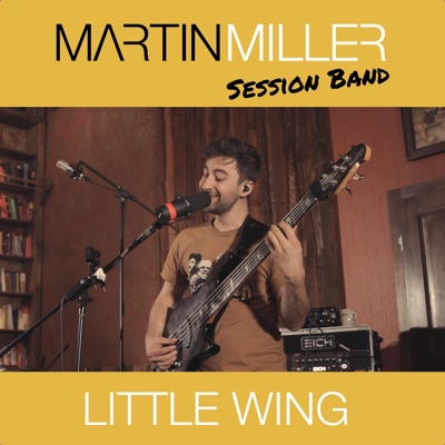Little Wing - Single
