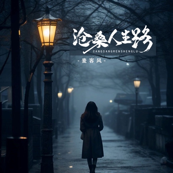 沧桑人生路 - Single