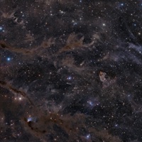 Stars II - Single - Idaho Panic