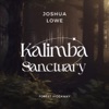 Kalimba Sanctuary: Forest Hideaway