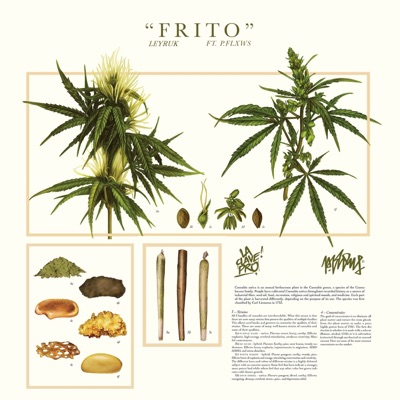 Frito (feat. P.FLXWS) - Single