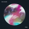 Stoned - Single