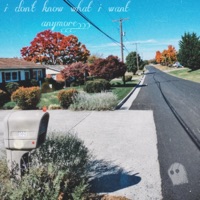 I Don't Know What I Want Anymore - Single - Ghostboy