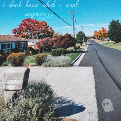 I Don't Know What I Want Anymore - Single
