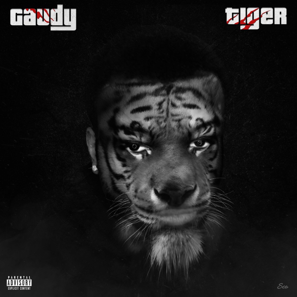 Обложка альбома «Tiger - Single» — 2gaudy