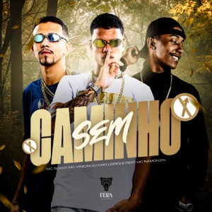 Sem Caminho (feat. Mc Ramonzin)