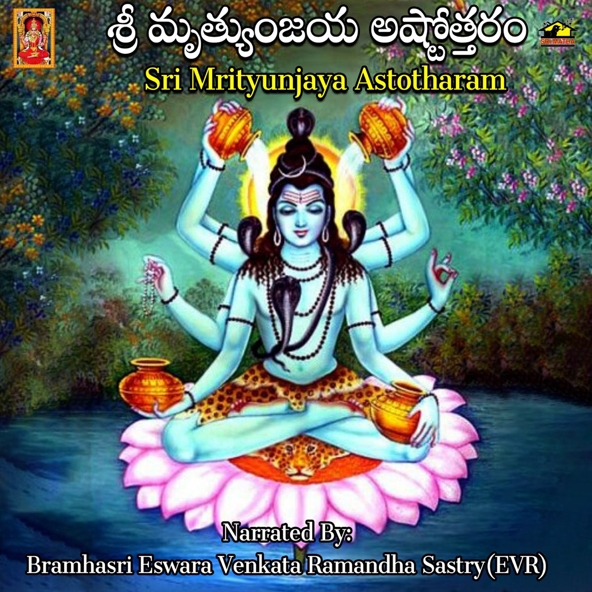 Sri Mrityunjaya Astotharam - Single by Bramhasri Eswara Venkata ...