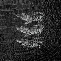 aligators - Single - Shane Grenert, cīgu pārdevējs & cykababy