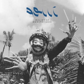 Ayam Bernyanyi (feat. バリの瞑想) Aoiii