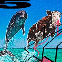 yosé qien qita micara dtriste (feat. constantín) - Single - FAEZZ