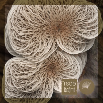 Elementos / Sentidos - Single