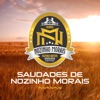 Saudades de Nozinho Morais - Single