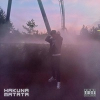 Hakuna Matata - Single - Robert Helder