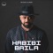 Habibi Baila artwork