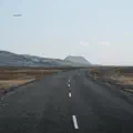 Roadkill