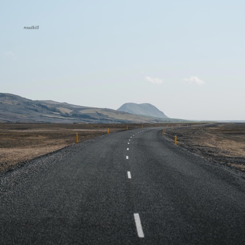 Roadkill