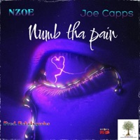 Numb the Pain (feat. Joe Capps) - Single - Nzoe