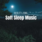 Soft Sleep Music artwork