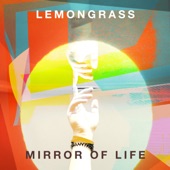 Mirror Of Life artwork