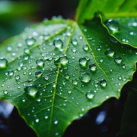 Pull Up (feat. Vizcor) - Single - CATVLYST