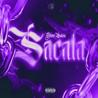 Sacala - Single - Glow Salvia