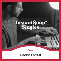 Electric Forrest (feat. Gees) - Single - Instant Soup