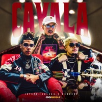 Cavala - Single - Jotapê, Salaga & Andrade