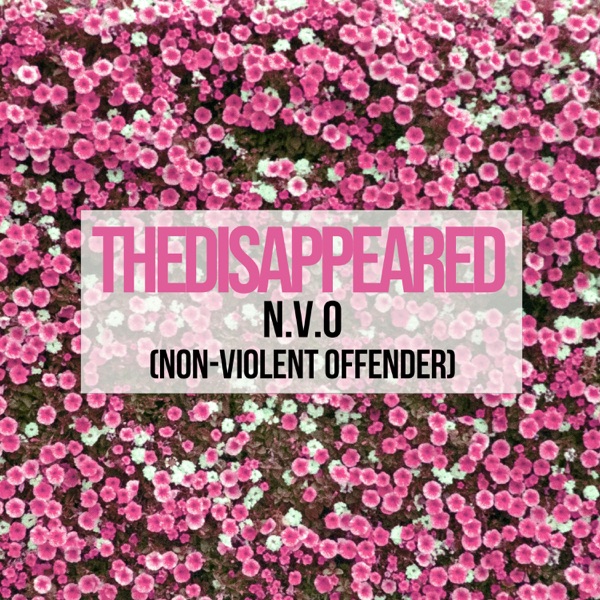 N.V.O. (Non-Violent Offender)