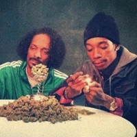 Medicated - Single - sj