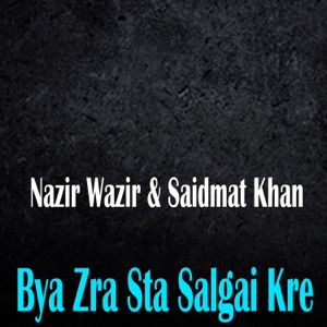 Bya Zra Sta Salgai Kre
