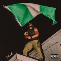 PELÉ - Single - EverythingOShauN