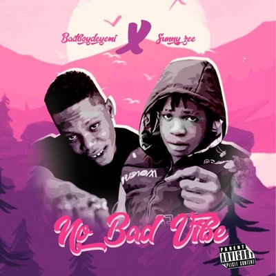 No Bad Vibe (NBV) (feat. Sunny zee) - Single
