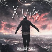 X-Vybz (feat. P**o X) artwork