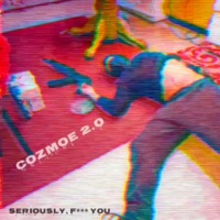 Seriously, F*** You - Cozmoe