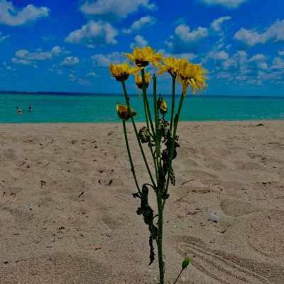 Maybe In Another Life/Quizas En Otra Vida - Single