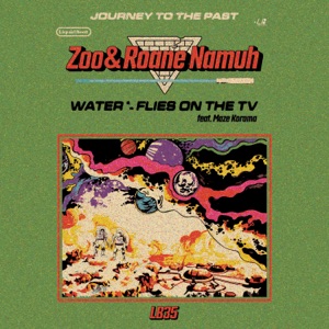 Water / Flies On the TV - Single