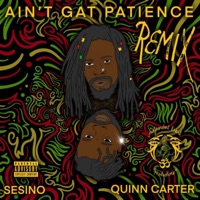Ain't got patience (Quinn Carter Remix) - Single - Sesino