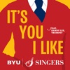 It's You I Like - Single