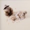 GOD DAMN - Mikros Kleftis & Tsaki lyrics