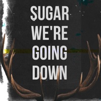 Sugar, We're Going Down - Single - RAWKSTAR