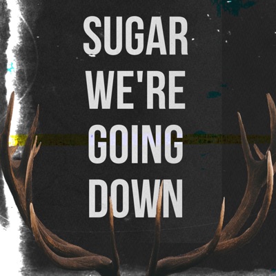 Sugar, We're Going Down - Single